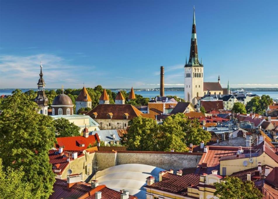Апартаменты Charming Loft Near Old Town Таллин Экстерьер фото